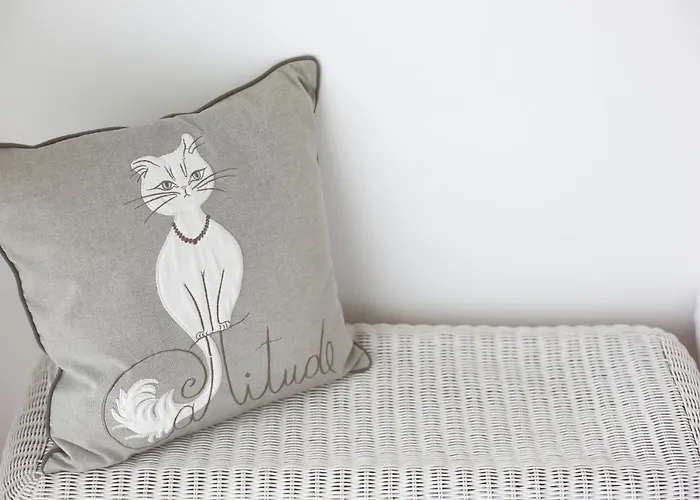 Trindade Family W/ Parking Place Apartamento